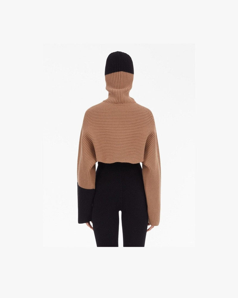 Salvatore Ferragamo Beige Sweater Hoodies
