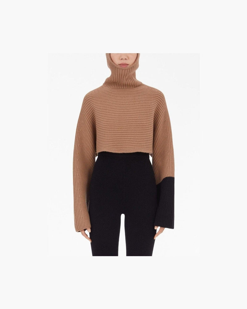 Salvatore Ferragamo Beige Sweater Hoodies