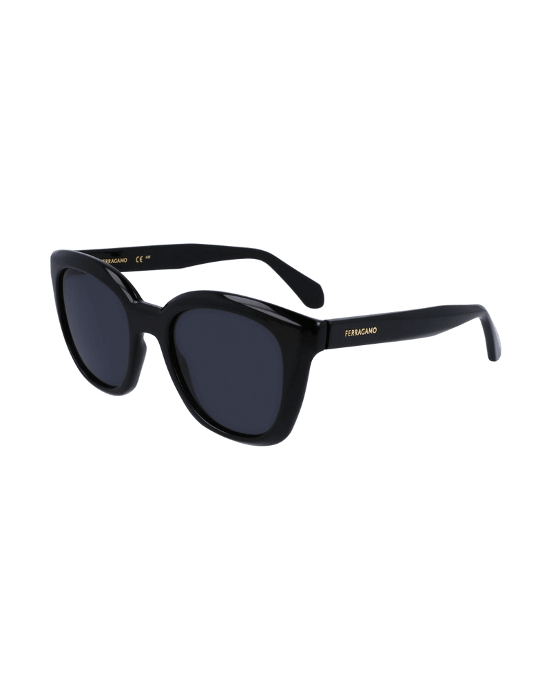 Salvatore Ferragamo Black Injected Sunglasses Sunglasses