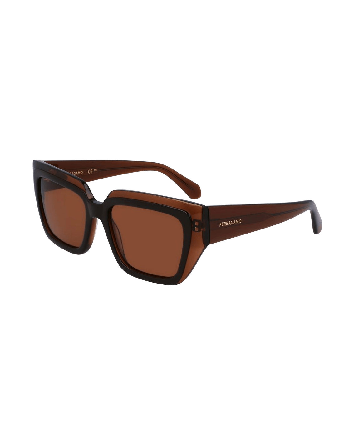 Salvatore Ferragamo Brown Acetate Sunglasses Sunglasses