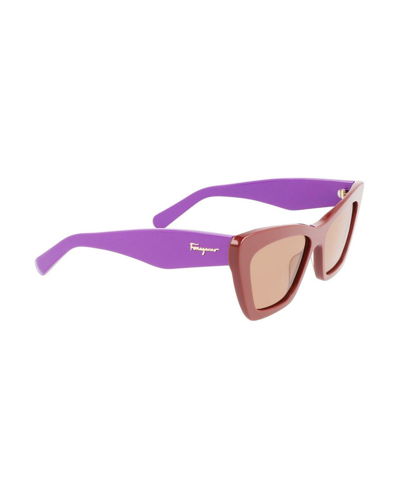 Salvatore Ferragamo Brown Acetate Sunglasses Sunglasses