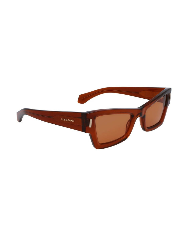Salvatore Ferragamo Brown Acetate Sunglasses Sunglasses