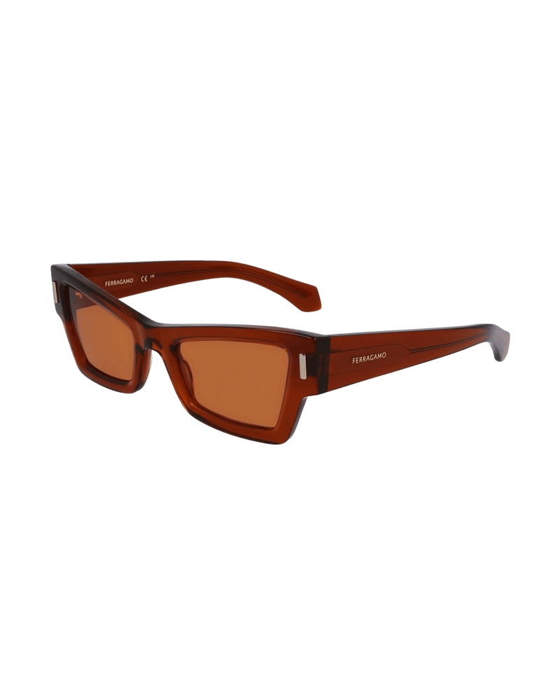 Salvatore Ferragamo Brown Acetate Sunglasses Sunglasses