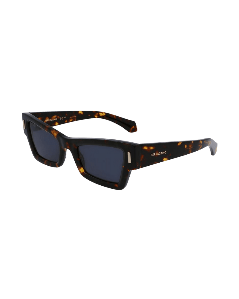 Salvatore Ferragamo Brown Acetate Sunglasses Sunglasses