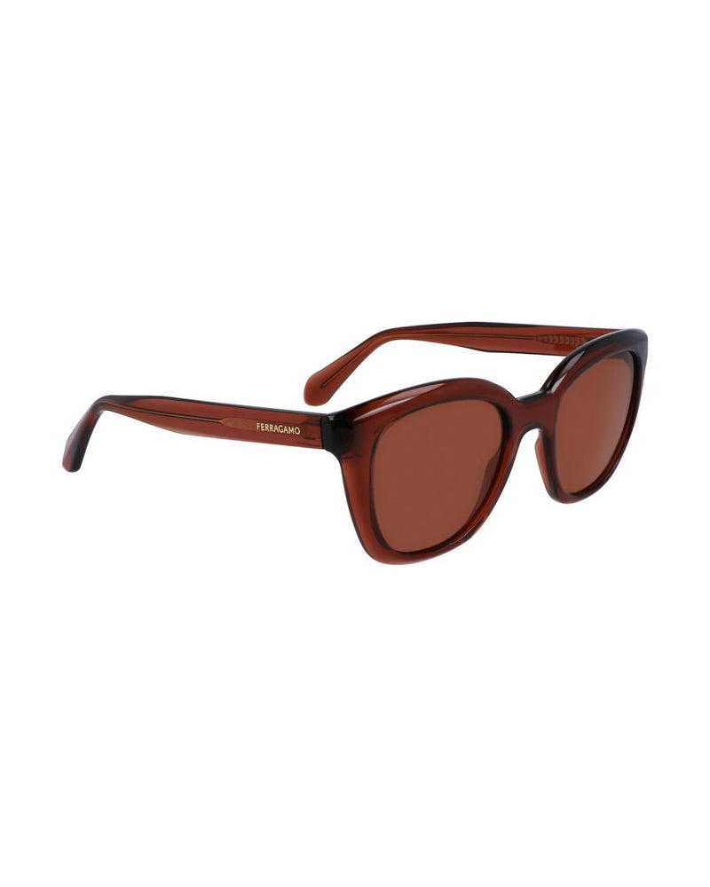 Salvatore Ferragamo Brown Injected Sunglasses Sunglasses