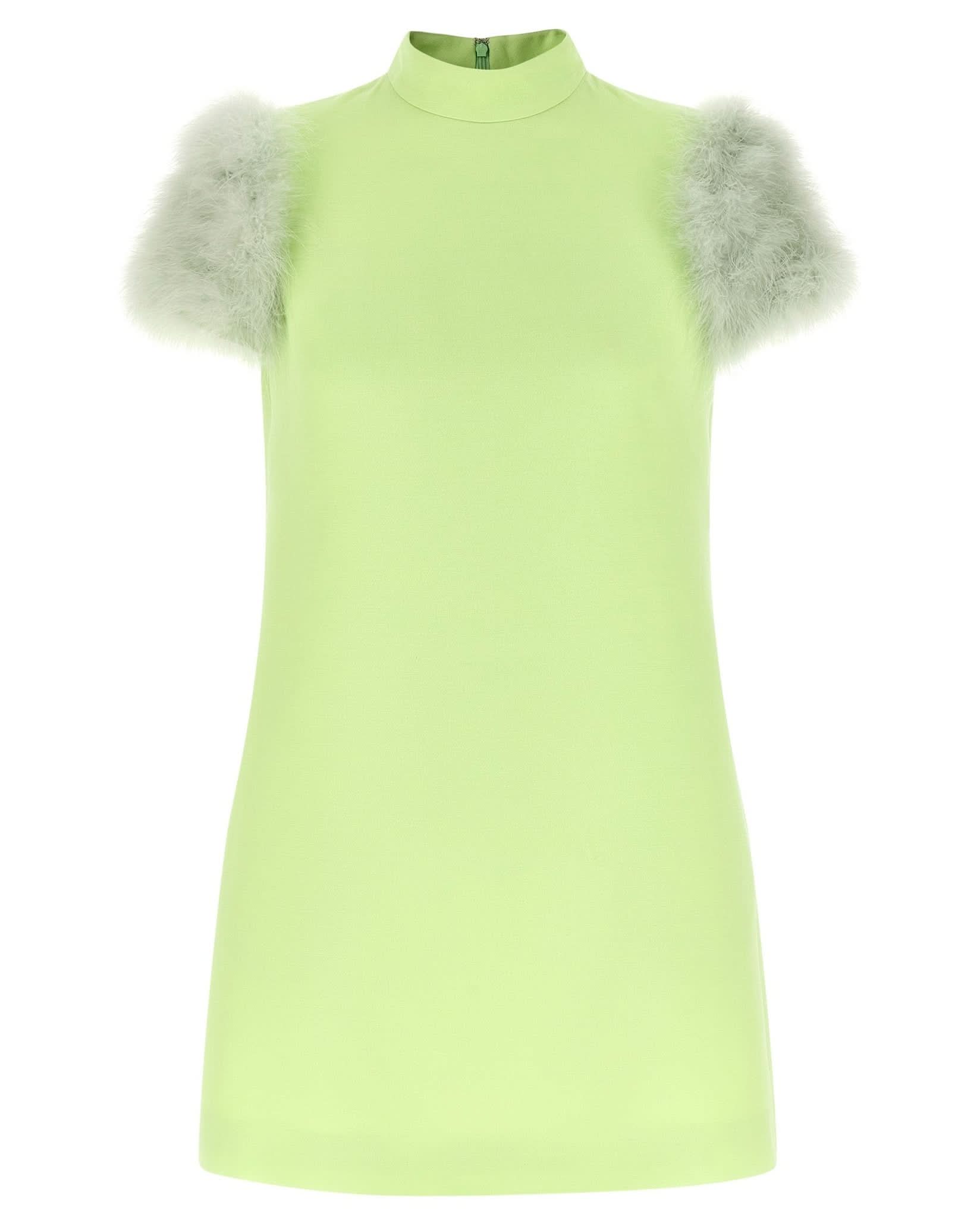 Valentino Garavani Feather Dress Glam Steals