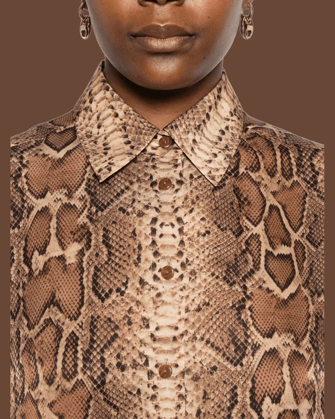 Zimmermann Brown Shirt Glam Steals