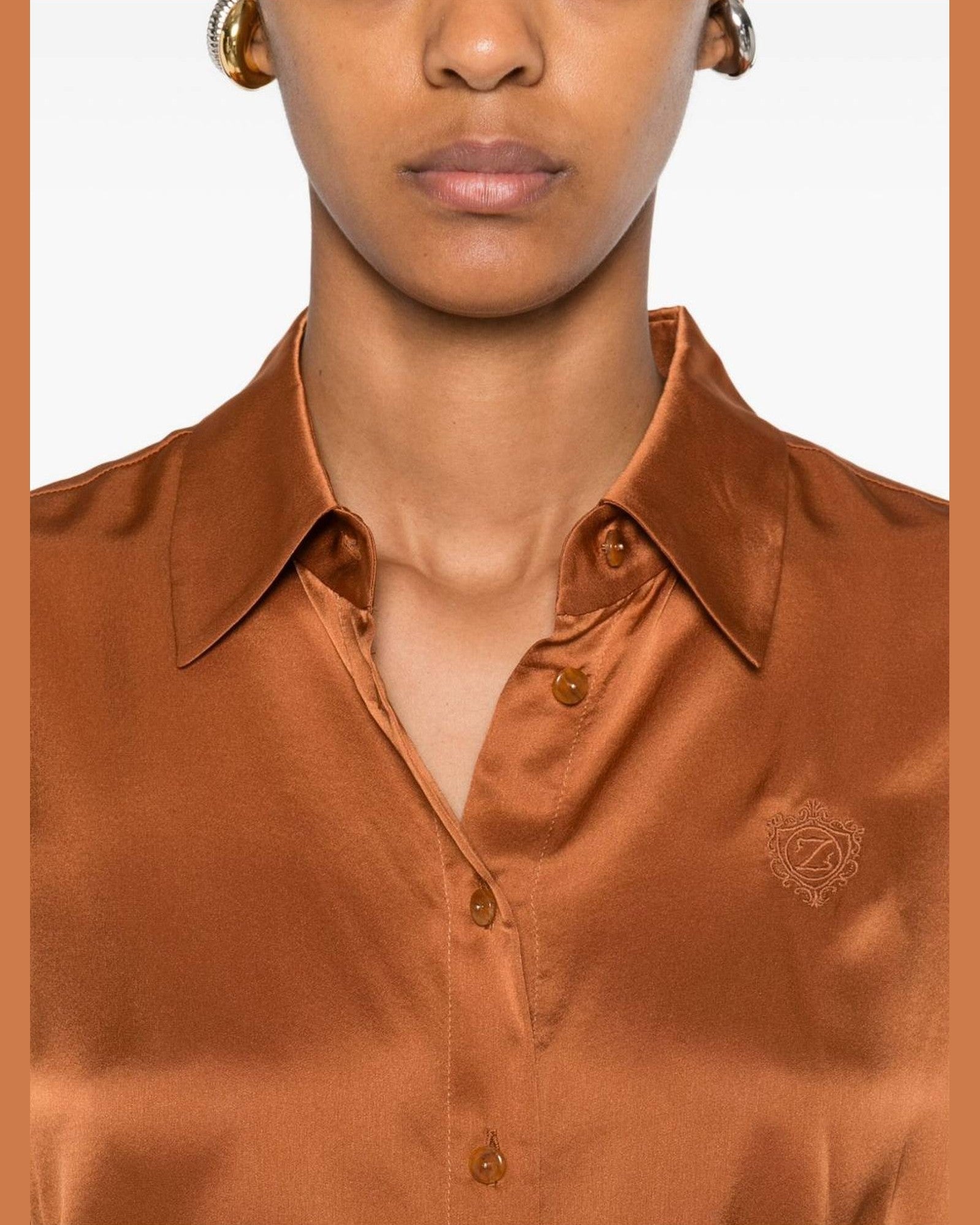 Zimmermann Brown Shirt Glam Steals