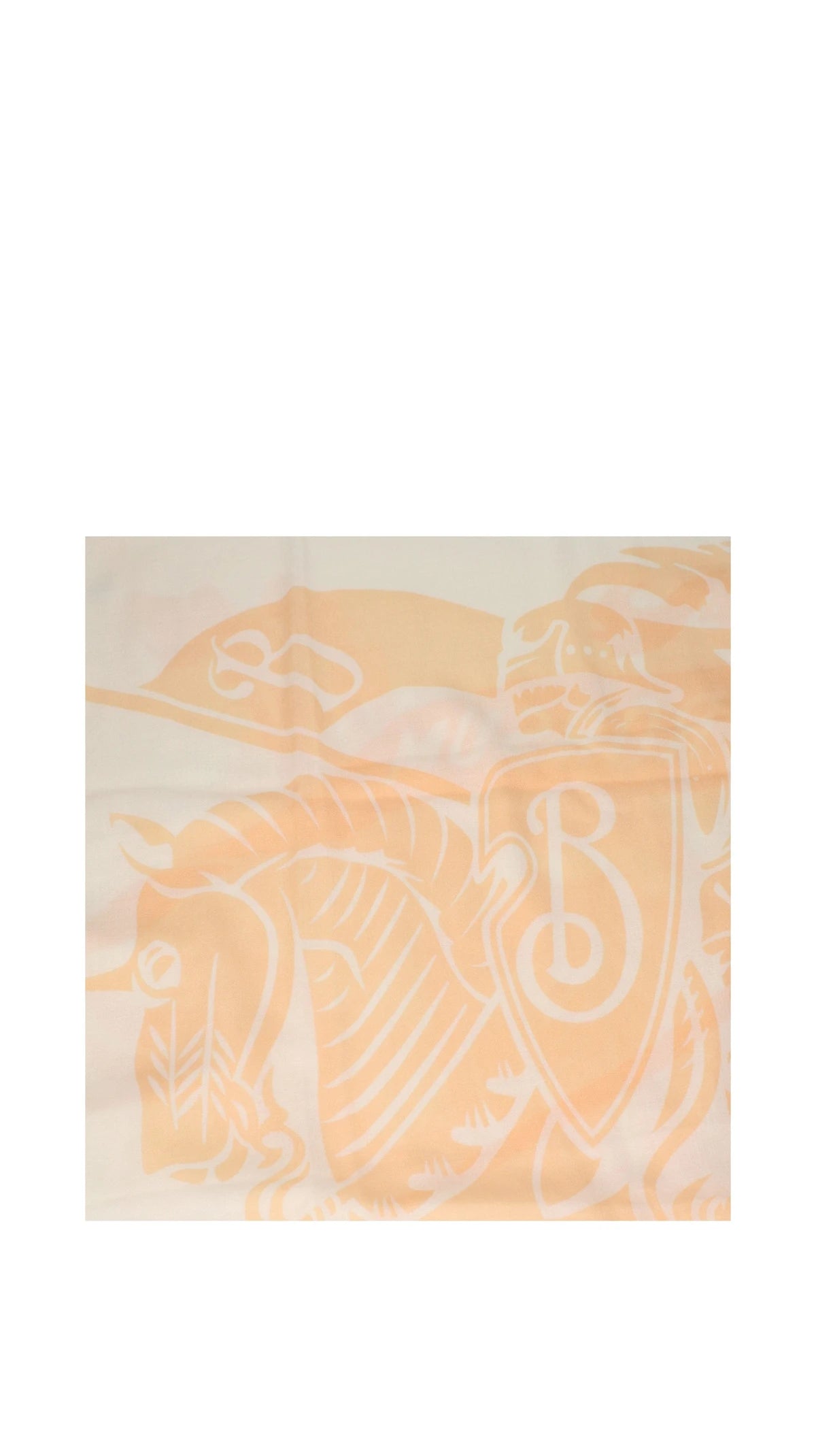 Burberry Scarves & Shawl in beige — view 2