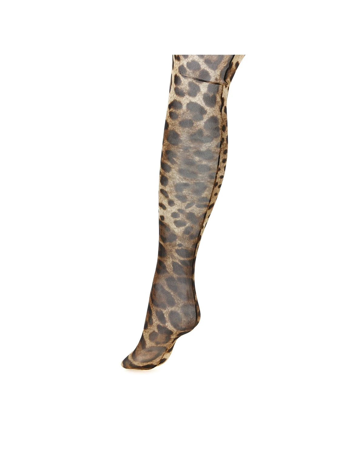 Dolce & Gabbana Knee Sock in brown, Polyamide — view 2