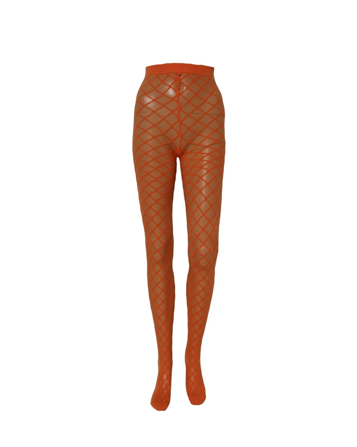 Dolce & Gabbana Pantyhose in orange, Nylon — view 2