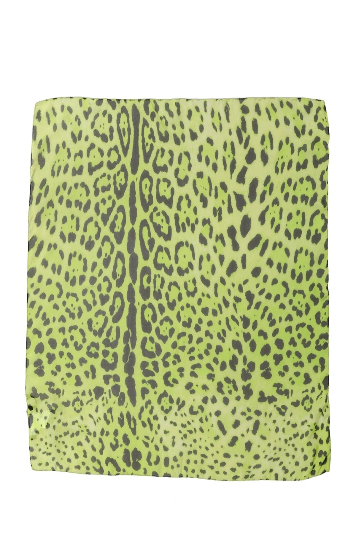 Dolce & Gabbana Scarves & Shawl in green, Silk