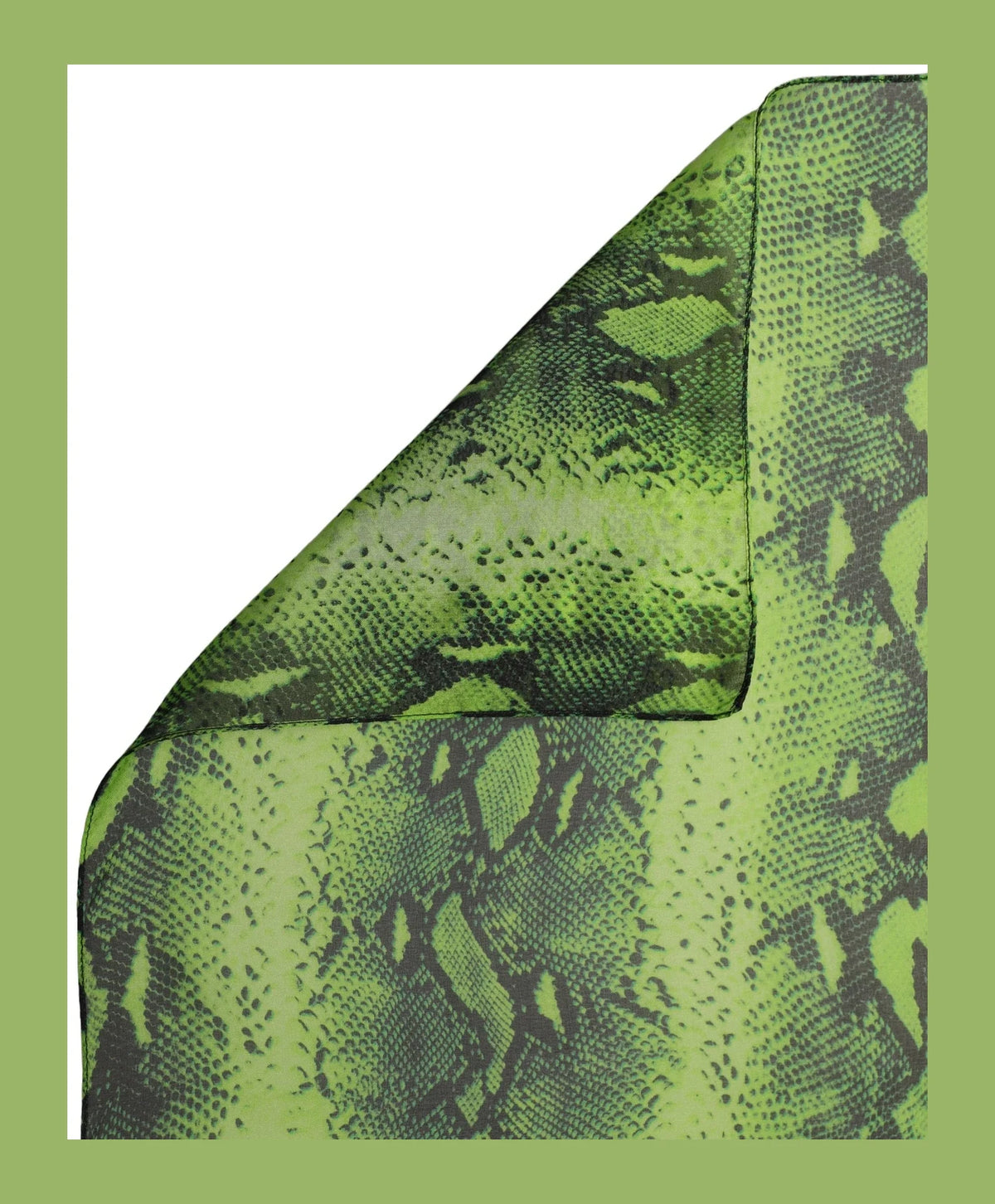 Dolce & Gabbana Scarves & Shawl in green, Silk — view 3
